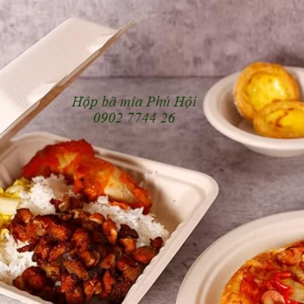 Hộp bã mía vuông đựng hamburger
